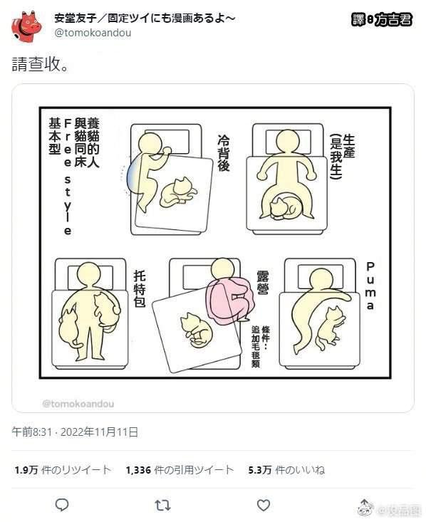 你和猫猫在床上的故事。。。8351 作者:seek 帖子ID:276 