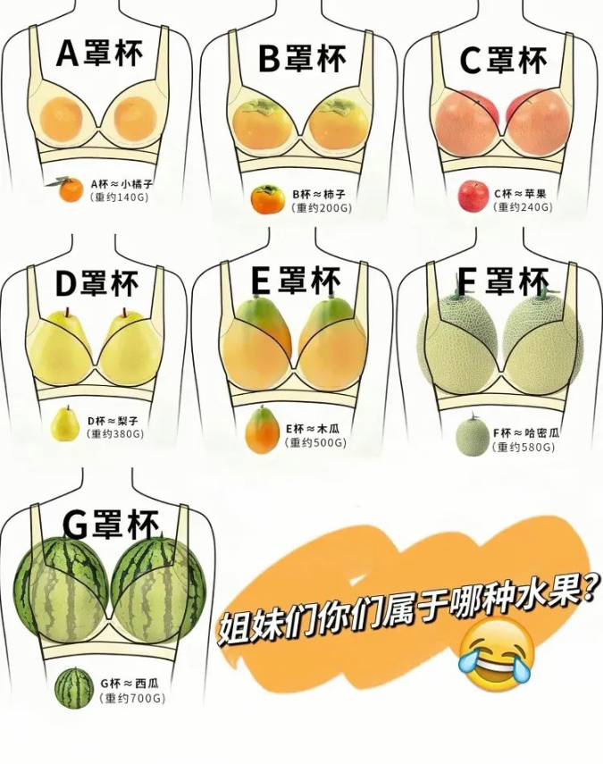 学习女性杯罩知识86 作者:搞事 帖子ID:465 