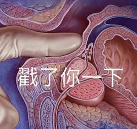 戳了你一下2155 作者:小猪妖 帖子ID:669 