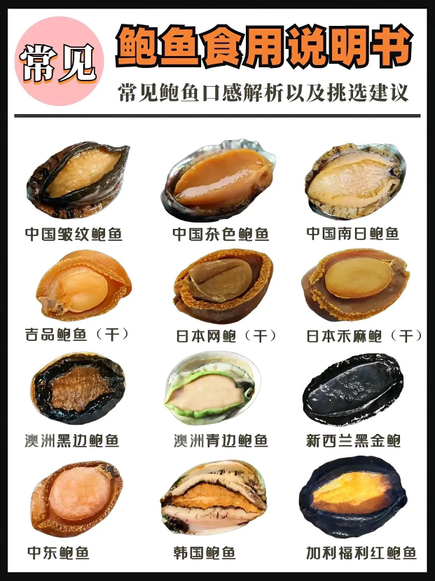 常见的鲍鱼食用说明书2078 作者:NSFW 帖子ID:682 