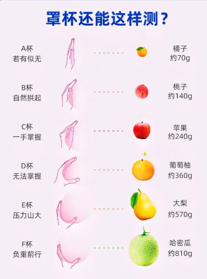 杯罩还能这样测？3657 作者:小猪妖 帖子ID:942 杯罩,还能,这样