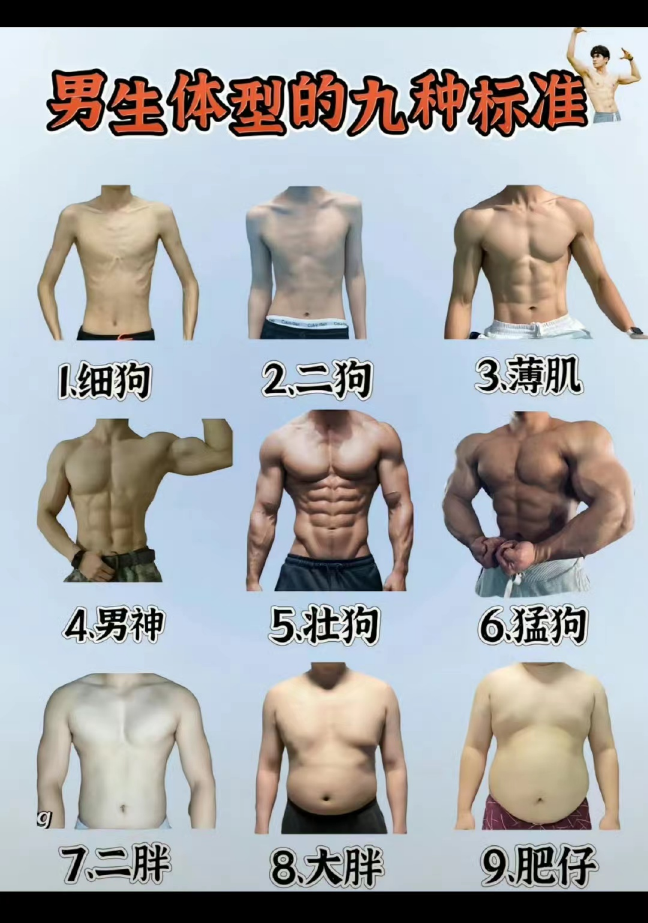 男生体型的九种标准，你是细狗还是壮狗？4413 作者:清风拂柳夜微凉 帖子ID:949 