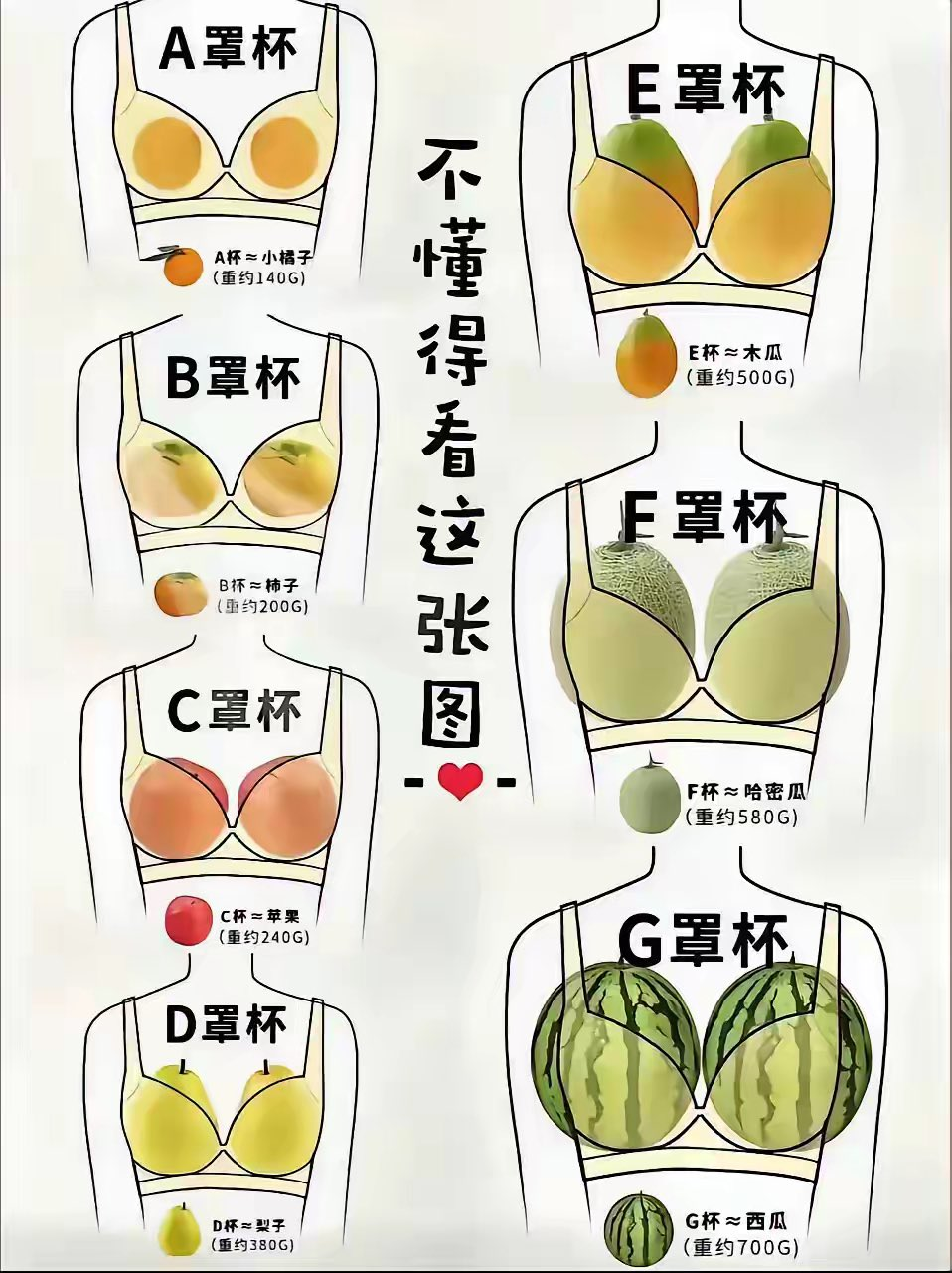 学习女性杯罩知识1628 作者:折戟沉沙 帖子ID:465 